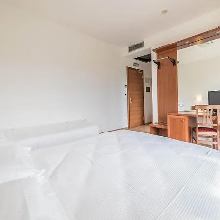 호텔 Hotiday Peschiera Frassino 3*